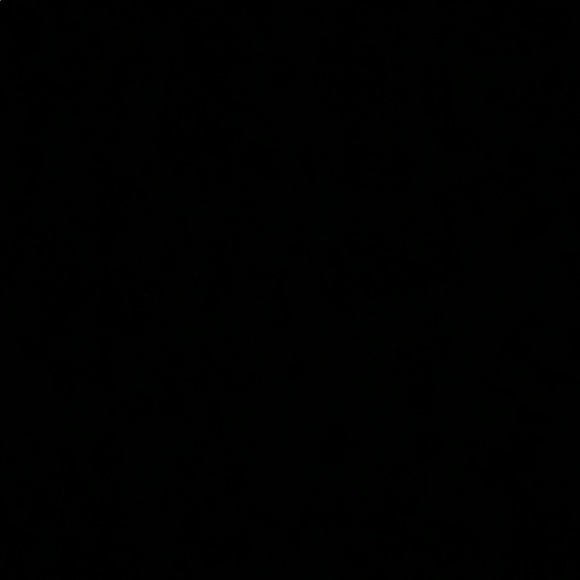 Meet your Posher, Reece - Picture 1 of 1